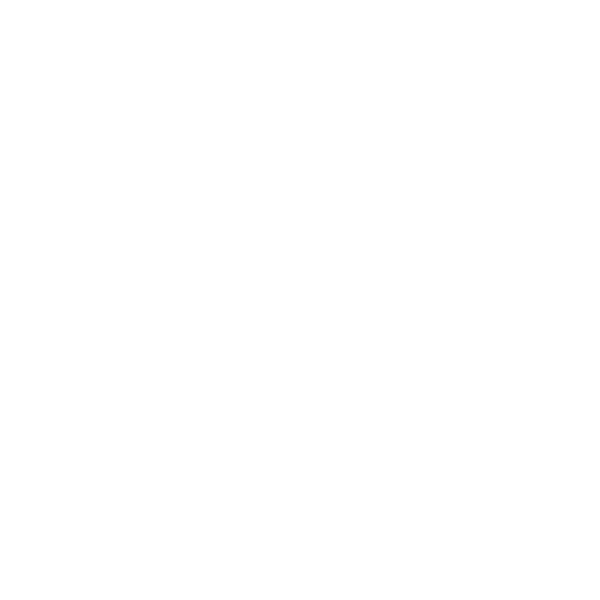 Process 4