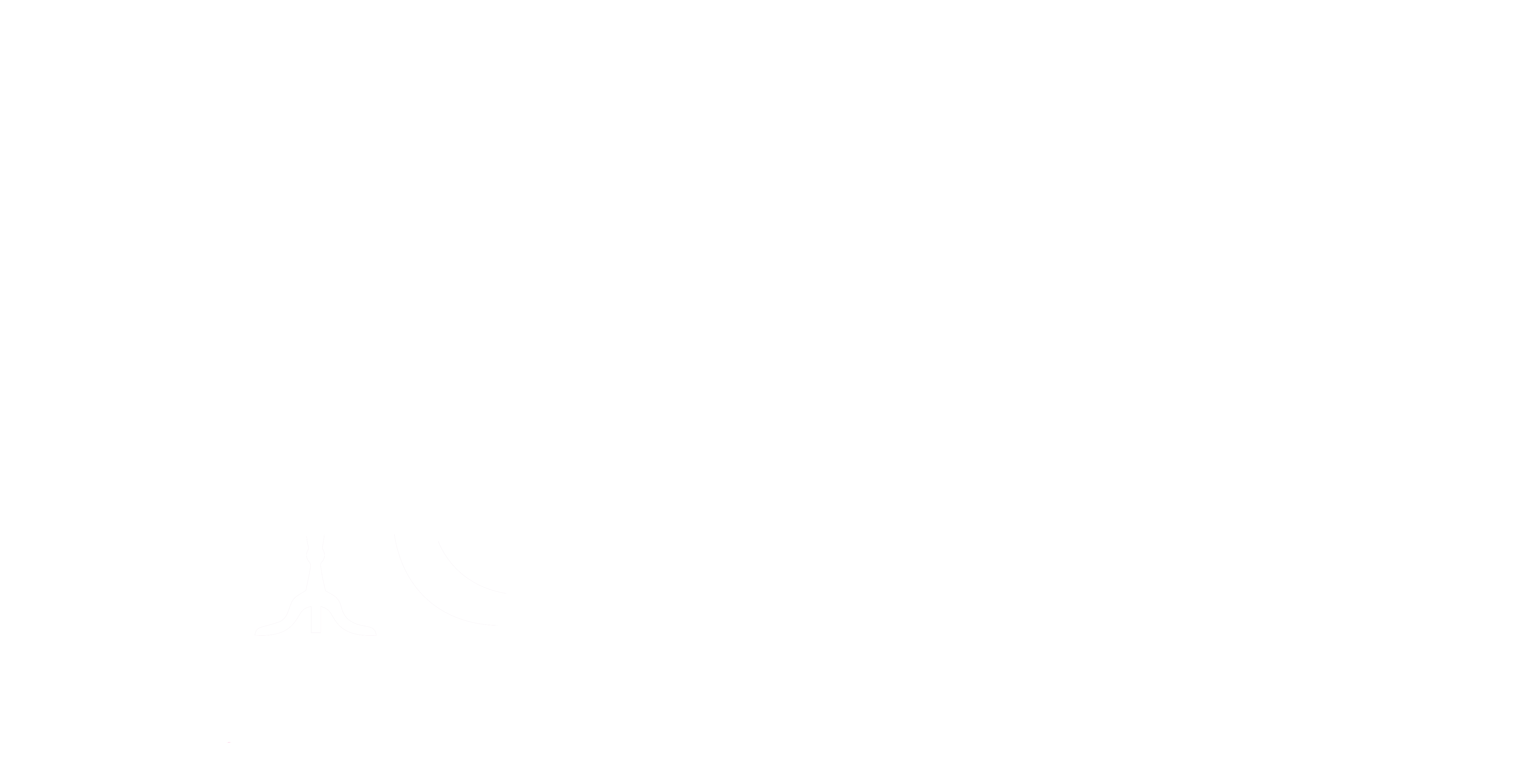ProCostumer Logo